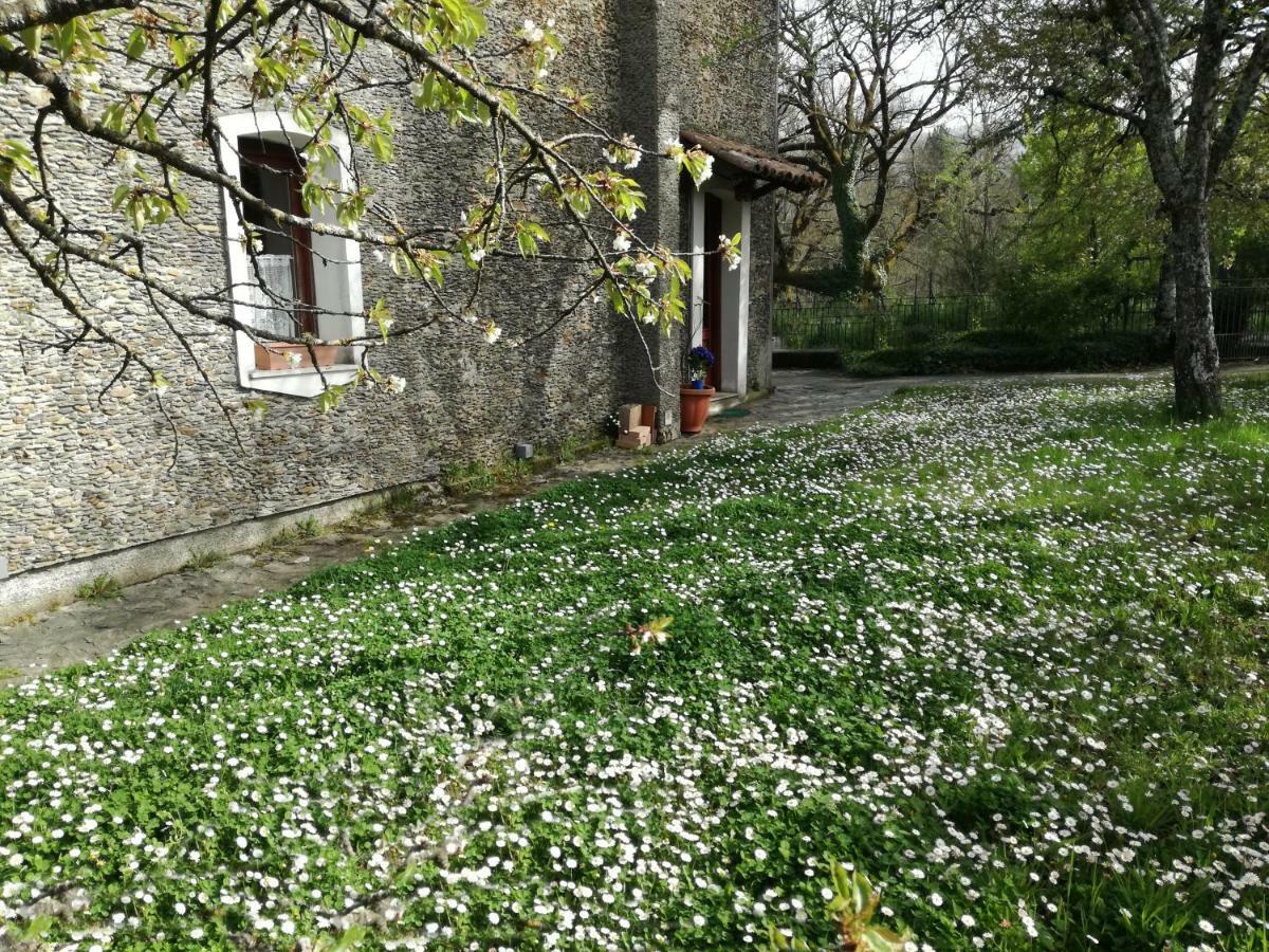 Casa Nel Verde Decollatura المظهر الخارجي الصورة